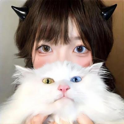 最强大脑第十二季